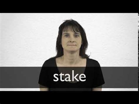 STAKE का हिन्दी अनुवाद .